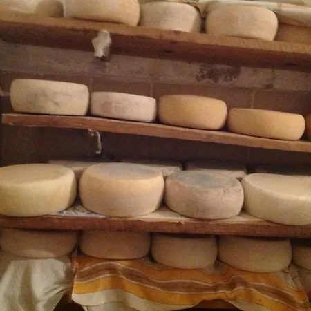 Antico Casale Urbani Séjour à la campagne